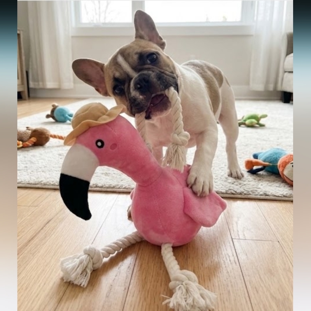 Freya the Pink Flamingo Plush Dog Toy